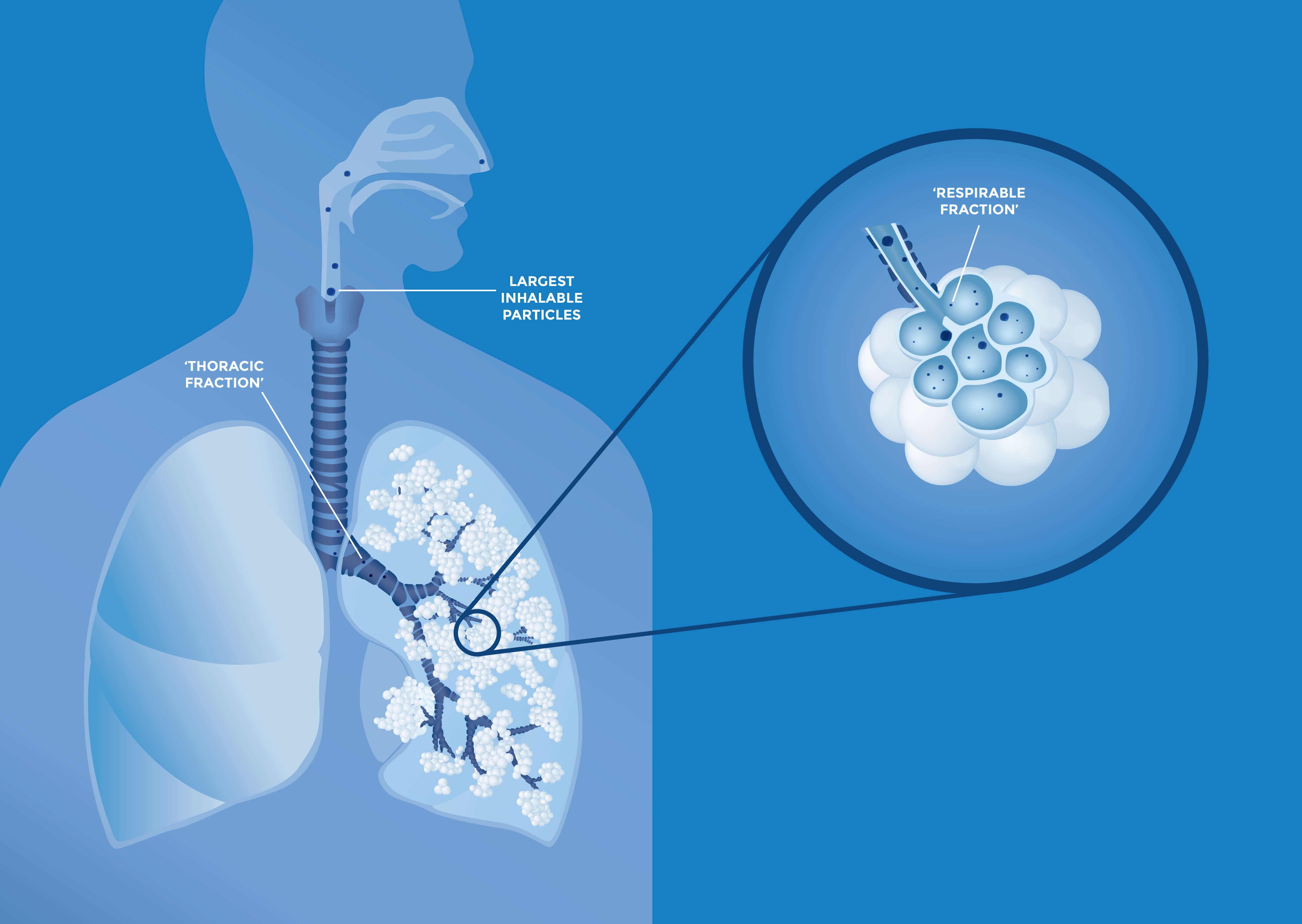 Crystalline Silica The Science Safe Silica